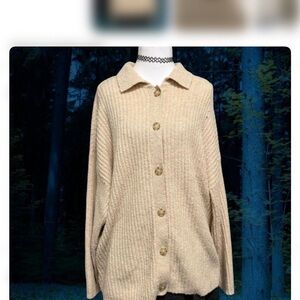 American Eagle Outfitters Tan Button-Up Cardigan